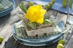 Easter table decoration with daffodils on the terrace