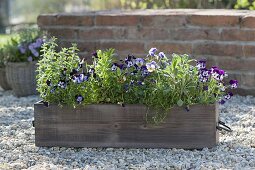 Wooden box with herbs and edible flowers on gravel terrace