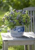 Herb bouquet in salt glaze pan alchemilla, chives