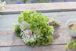 Small tea herb bouquet made with Alchemilla mollis (lady's mantle)