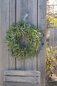 Eucalyptus branches wreath hung on board wall