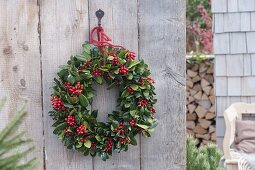 Ilex (holly) with red berries wreath