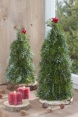 Tied Christmas trees from abies (fir) on wooden discs