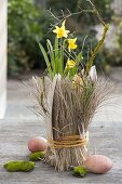 Narcissus 'Tete A Tete' (Daffodil), pot covered with grasses