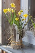 Narcissus 'Tete a Tete' in front of window