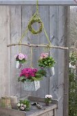 Spring flowers hanged as mobile on branch with moss wreath