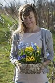 Woman with birch box with Primula acaulis, Elatior (primrose)