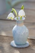 Leucojum (spring snowflake) blossoms in ceramic vase