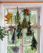 Hang plants upside down to dry