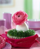 Duck egg as a vase with flower of Ranunculus asiaticus