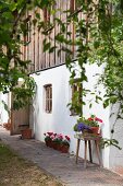 Renovated farmhouse with wood-clad façade and potted flowering geraniums