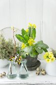 Spring arrangement of cowslips and quail eggs