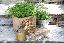 Kitchen herbs in wooden crate with pokerwork motif