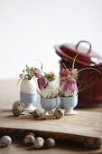 Flowers arranged in blown goose eggs in blue egg cups