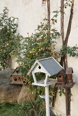Various vintage bird feeding tables and rose hips on rosebushes against house façade