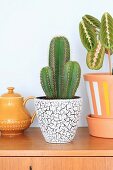 Cacti in retro planter next to painted terracotta pot