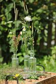 Wildflowers and blades of grass in vintage glass bottles on vintage wooden crate