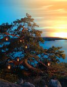 Atmospheric landscape at twilight with view of lake and lanterns in tree