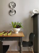 Decorative wall plates above vegetables on wooden table and designer chairs