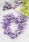 Love-heart made from Wisteria florets