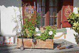 Mit Kräutern bepflanzter Holzkasten und selbstgemachten Pflanzsteckern