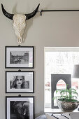 Framed black and white photos and hunting trophy on wall