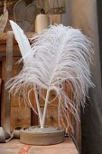 White feathers held in rolled ribbon