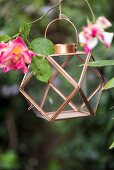 Small geometric lantern hung from rose bush