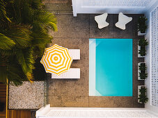 Top view of pool, chairs, loungers with parasols and palm trees