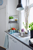 Sink in kitchen counter below window, vegetables and potted herbs on worksurface