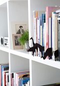 Various animal sihouettes made from black cardboard between books on white bookcase
