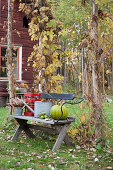 Autumnal arrangement on bench in garden outside Swedish house