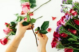 Hands removing leaves from cut rose