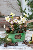 Weihnachtliches Tisch-Arrangement im ersten Schnee :