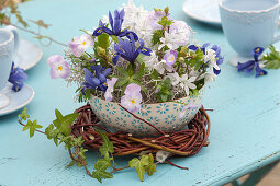 Arrangement in cereal bowl as table decoration, iris reticulata, scilla