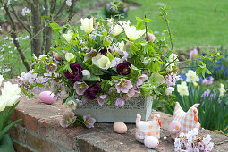 Easter arrangement in metal box on garden wall, Tulipa