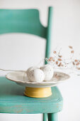 Speckled eggs and catkins on plate on green chair