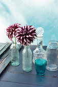 Bicoloured dahlias in glass bottles
