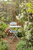 Folding table and chair in greenhouse of old nursery surrounded by white flowers