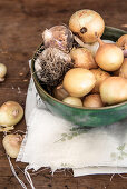 Bowl of onions and garlic on printed cloth
