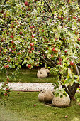 Decorative stone apples under apple trees in the orchard