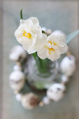 White narcissus in circlet of threaded quail eggs