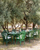 Grüne Rattanstühle um gedeckten Tisch im mediterranen Olivengarten