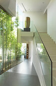Stairs with glass balustrade and glass wall with view of bamboo garden