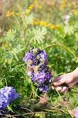 Tying a wreath of purple hydrangeas and blackcurrants