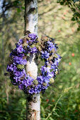 Wreath of purple hydrangeas and blackcurrants hung on tree