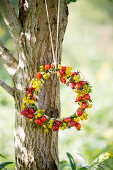 Wreath of rose hips and yellow flowers hung on tree