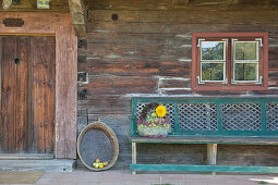 Autumn arrangement in basket with handle on wooden bench outside rustic wooden house