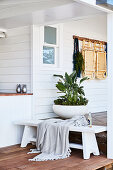 weiße Holzbank und Pflanzenschale auf überdachter Terrasse