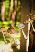 Garland of paper mushrooms hung between two trees in woods